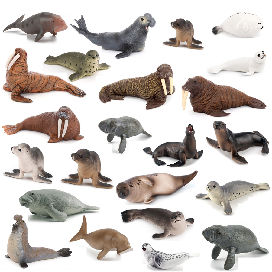 Kids Education Product - Realistic Dugong Manatee Walrus Sea Lion