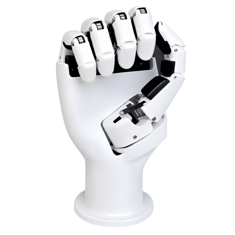 AmazingHand 6 Dof Robotic Hand - Coding Robot Toy review and price