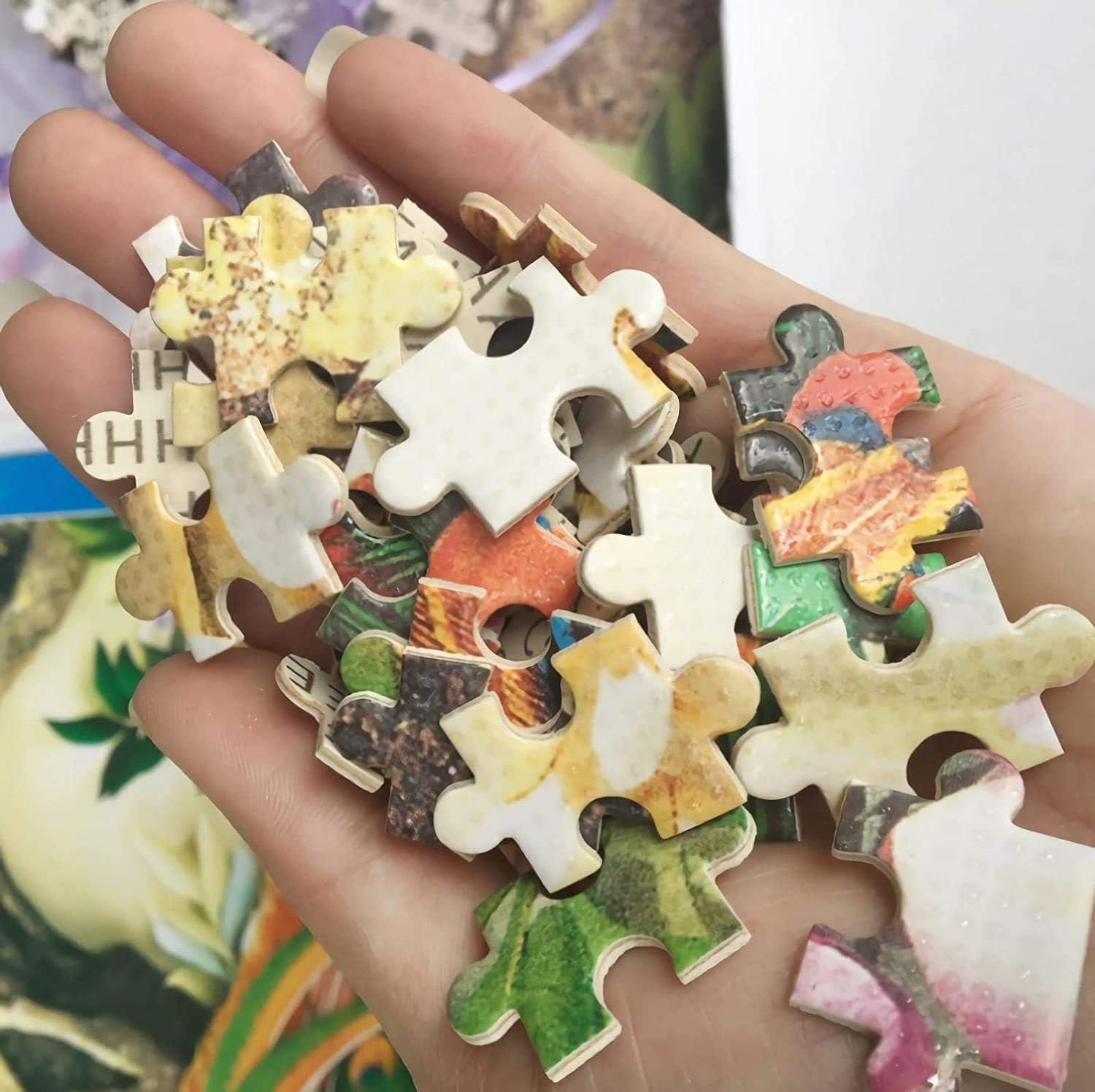 Jigsaw Puzzles for Adults 1000 - Puzzle Map World review and price