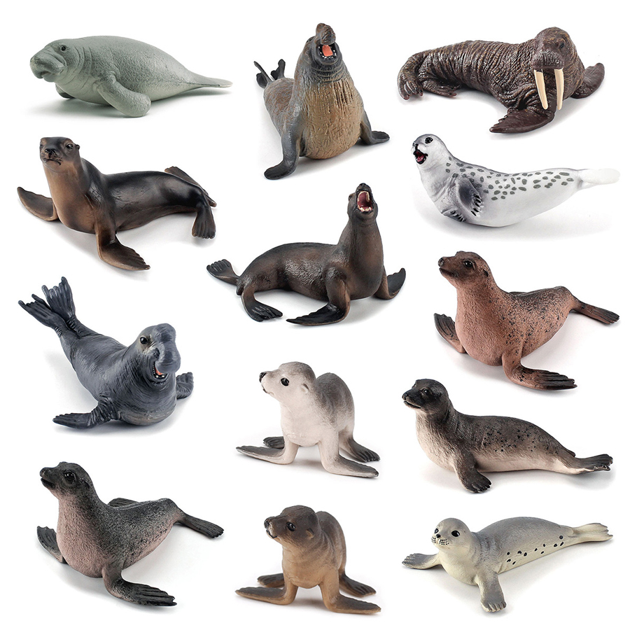 Realistic Dugong Manatee Walru - Kids Education Product review and price