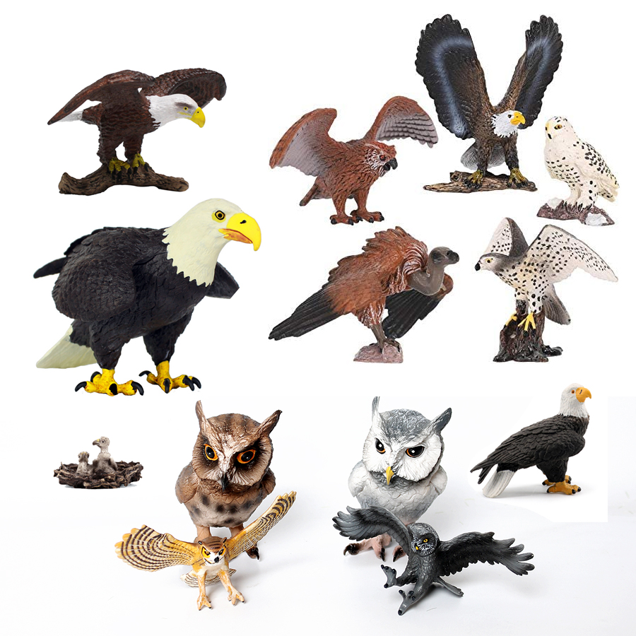 Realistic Plastic Birds of Pre - Kids Education Shows review and price