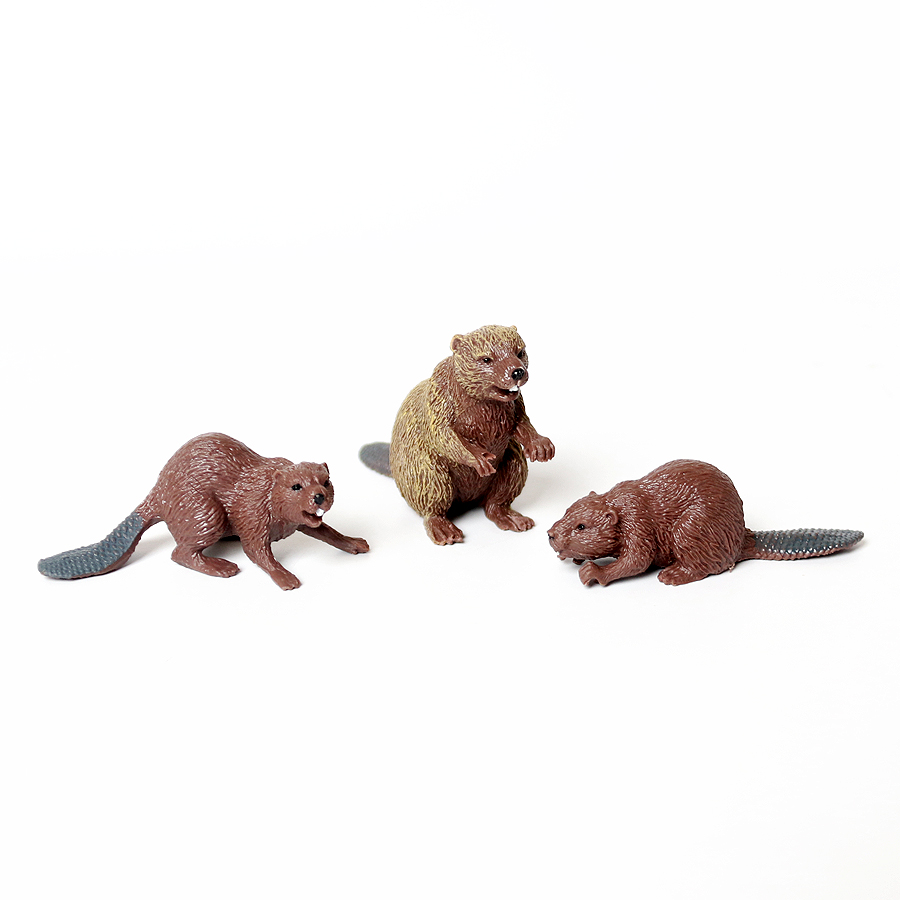 Realistic Woodland Creatures F - Kids Education Shows review and price