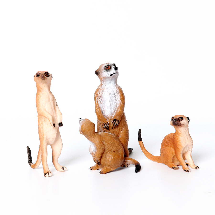 Realistic Woodland Creatures F - Kids Education Shows review and price