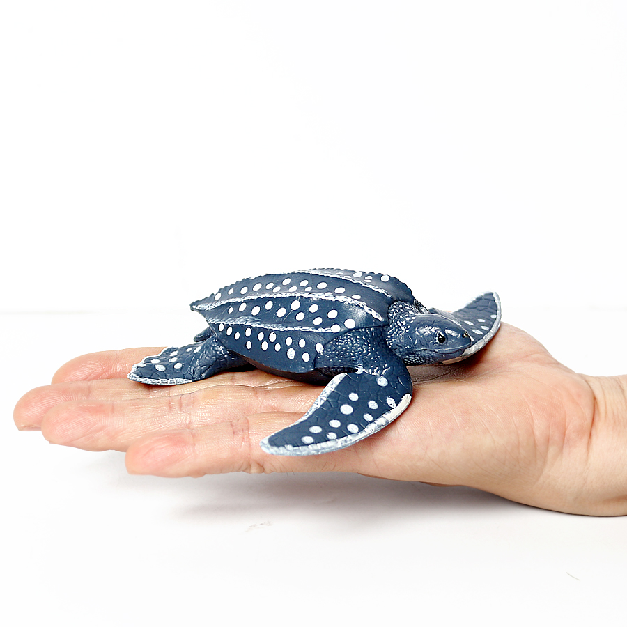 Simulation Chinese Softshell L - Kids Education Product review and price