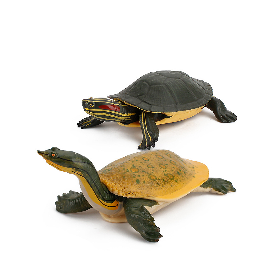 Simulation Chinese Softshell L - Kids Education Product review and price