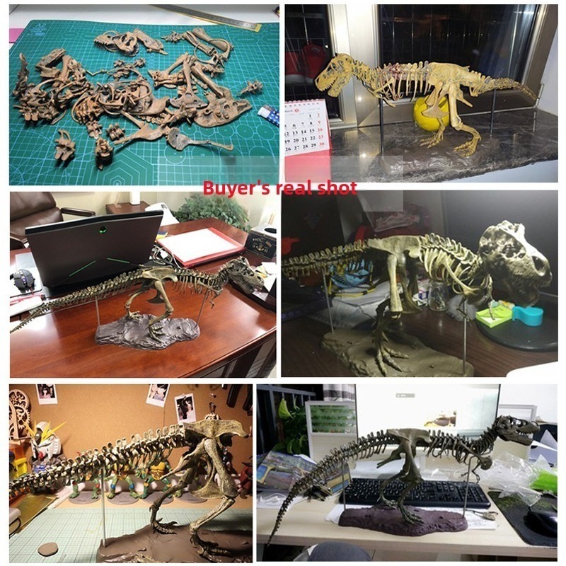 Dinosaur Fossil Toy Tyrannosau - Kids Education Product review and price