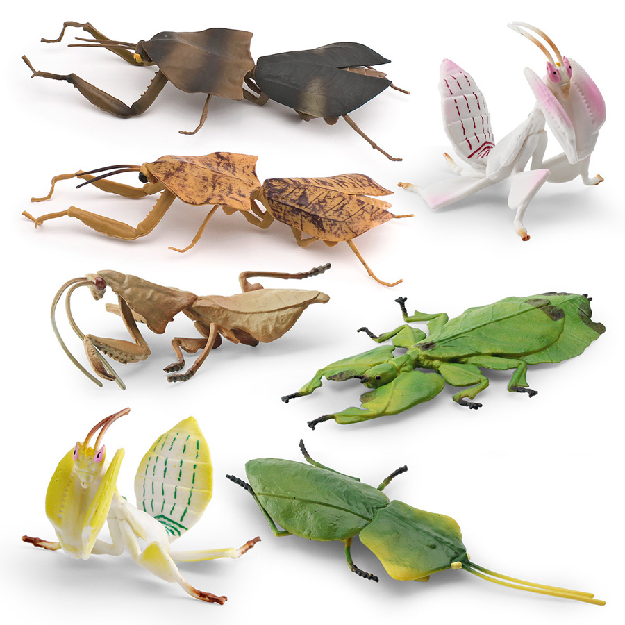 Realistic Orchid Mantis Dead L - Kids Education Product review and price